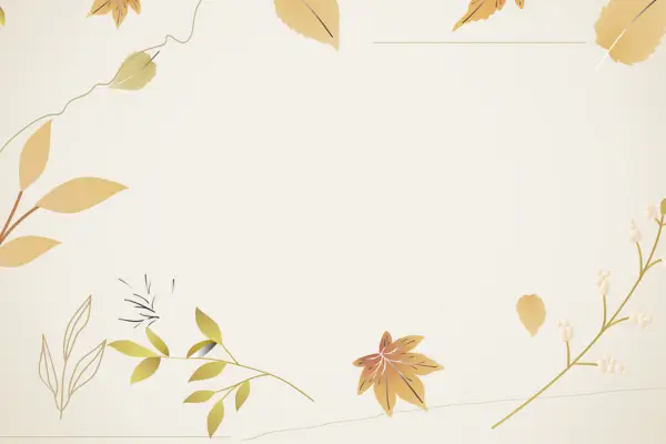 Layouts Minimalistas